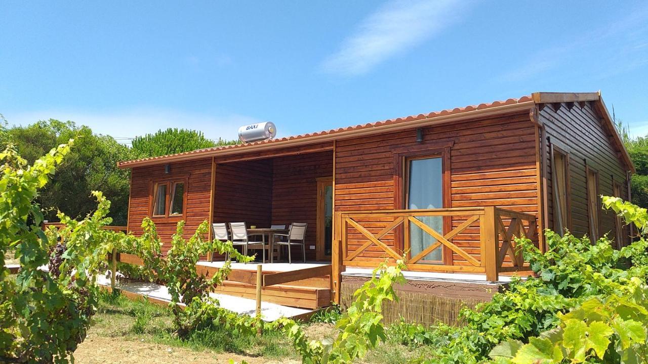 Casa Entre Praias فوز دو أريلهو المظهر الخارجي الصورة